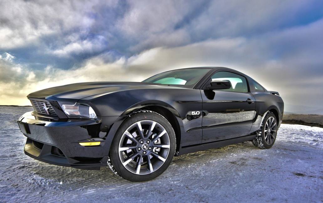 vehicle picture